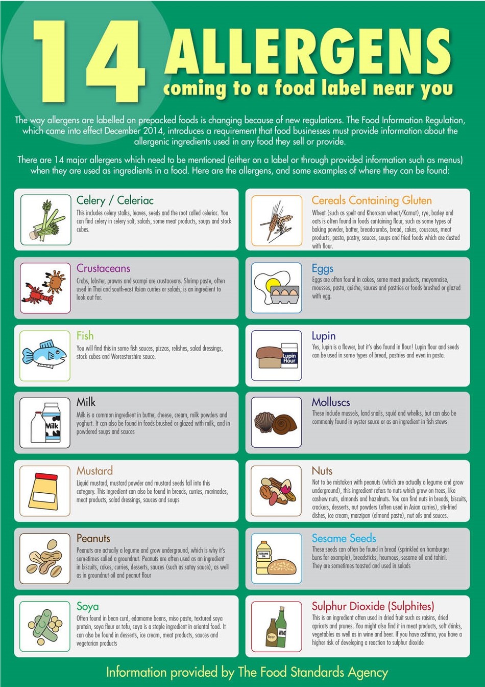 Printable Food Allergy Poster Pdf Printable Word Searches