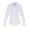 Stretch Fit Cotton Poplin Blouse Long Sleeves