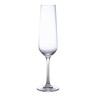 Strix Champagne Flute 20cl/7oz (Box Of 6)