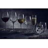 FT Syrah Wine Glass 25cl/8.8oz (Box Of 6)