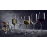 FT Mencia Wine Glass 44cl/15.5oz (Box Of 6)