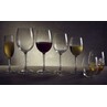 FT Victoria Wine Glass 47cl/16.5oz (Box Of 6)