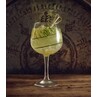 Ibiza Gin Cocktail Glass 72cl/25.3oz (Box Of 6)