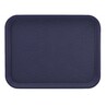 Harfield Polypropylene Serving Tray 35cm X 24cm (215)