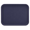 Harfield Polypropylene Serving Tray 5cm X 35cm (218)