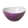 Harfield Acrylic Curved Edge Bowl 20cm (XEFS-0129)