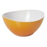 Harfield Acrylic Curved Edge Bowl 20cm (XEFS-0129)