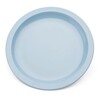 Harfield POLYCARBONATE Narrow Rim Plate 17cm (058)