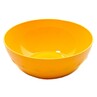 Harfield POLYCARBONATE Salad Bowl 24cm (038)