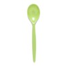 Harfield POLYCARBONATE Standard Dessert Spoon (017)