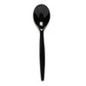 Harfield POLYCARBONATE Standard Dessert Spoon (017)