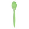 Harfield POLYCARBONATE Teaspoon (012)