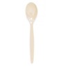 Harfield POLYCARBONATE Teaspoon (012)