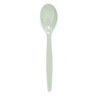 Harfield POLYCARBONATE Teaspoon (012)