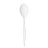 Harfield POLYCARBONATE Teaspoon (012)