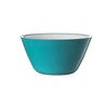 Harfield Acrylic Display Bowl 12cm (621)