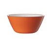 Harfield Acrylic Display Bowl 15.5cm (622)