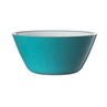 Harfield Acrylic Display Bowl 15.5cm (622)