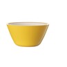 Harfield Acrylic Display Bowl 15.5cm (622)