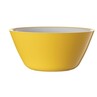 Harfield Acrylic Display Bowl 19cm (623)