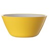 Harfield Acrylic Display Bowl 27cm (624)