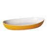 Harfield Acrylic Server Plate 58cm X 17cm (629)